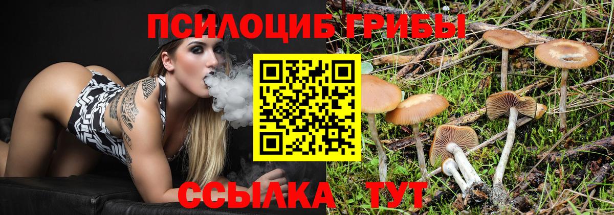 Бердск  Галлюциногенные грибы Psilocybe  Галлюциногенные грибы прущие грибы  Вход с VPN 
