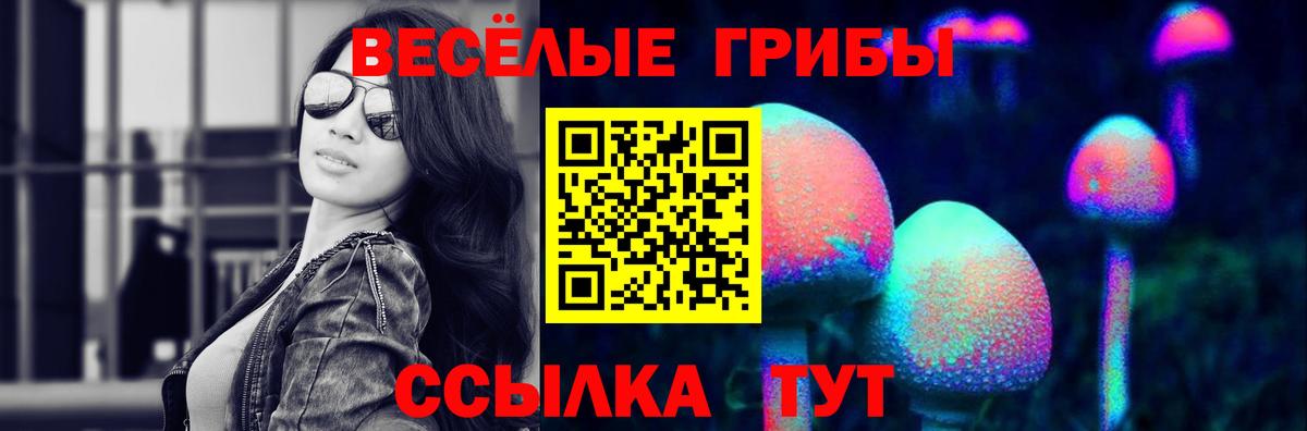 Псилоцибиновые грибы Cubensis Бердск