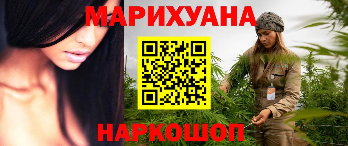Конопля план Бердск